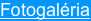 shapeimage_1_link_13