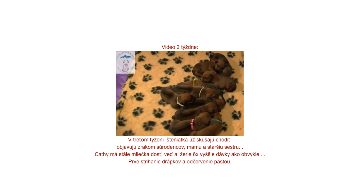 Video 2 týždne:
￼
V treťom týždni  šteniatká už skúšajú chodiť, 
objavujú zrakom súrodencov, mamu a staršiu sestru... 
Cathy má stále mliečka dosť, veď aj žerie 6x vyššie dávky ako obvykle....
Prvé strihanie drápkov a odčervenie pastou. 