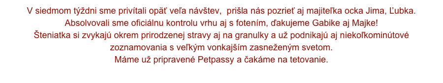 V siedmom týždni sme privítali opäť veľa návštev,  prišla nás pozrieť aj majiteľka ocka Jima, Ľubka.
Absolvovali sme oficiálnu kontrolu vrhu aj s fotením, ďakujeme Gabike aj Majke!
Šteniatka si zvykajú okrem prirodzenej stravy aj na granulky a už podnikajú aj niekoľkominútové zoznamovania s veľkým vonkajším zasneženým svetom.
Máme už pripravené Petpassy a čakáme na tetovanie.
